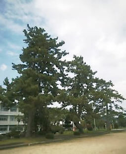 2003N0824摜