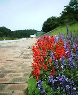 2003N0822摜