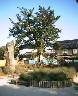 2003N0825摜