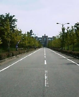 2003N0825摜