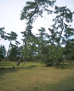 2003N0825摜