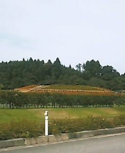 2003N0825摜