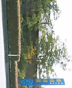 2003N0825摜