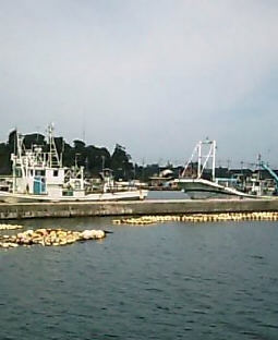 2003N0826摜