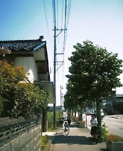 2003N0823摜