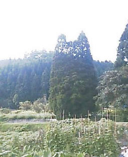 2003N0821摜